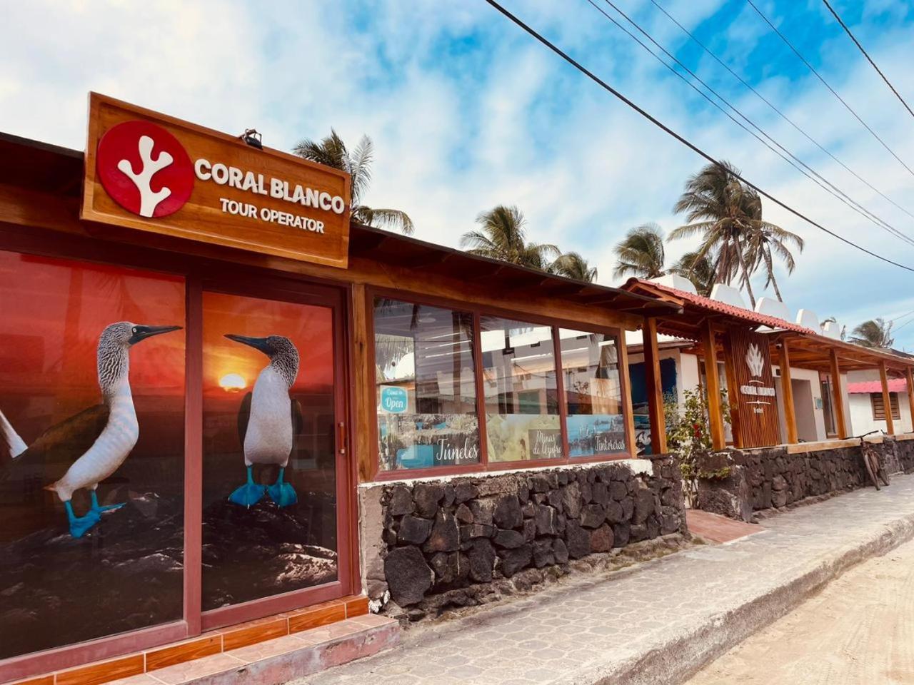 Hotel Coral Blanco With High Speed Internet Starlink And Galapagos Tour Operator プエルト・ビジャミル エクステリア 写真
